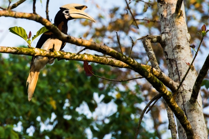 du lich Malaysia anh 5