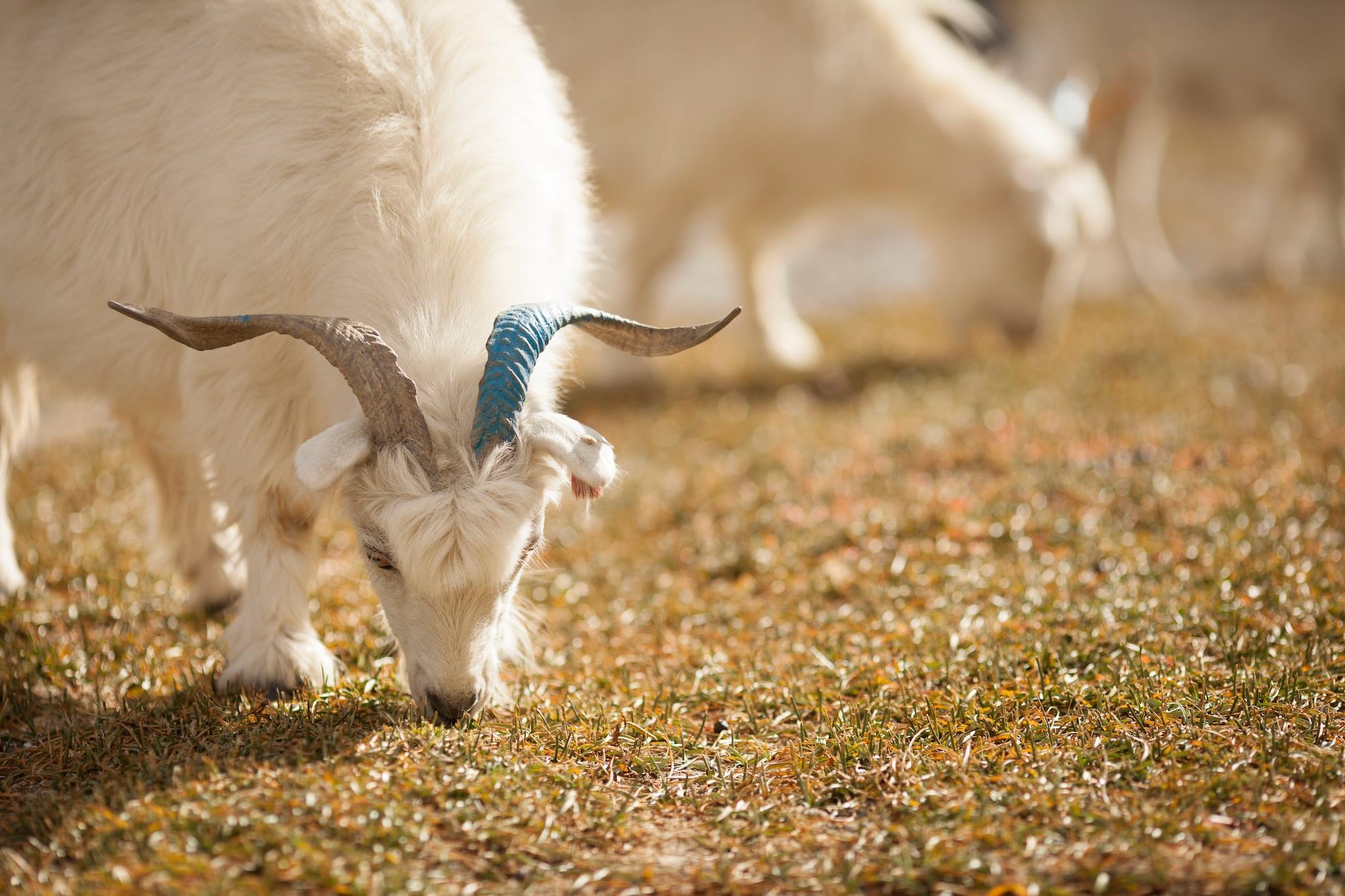 Bui duong tuoi tre anh 2