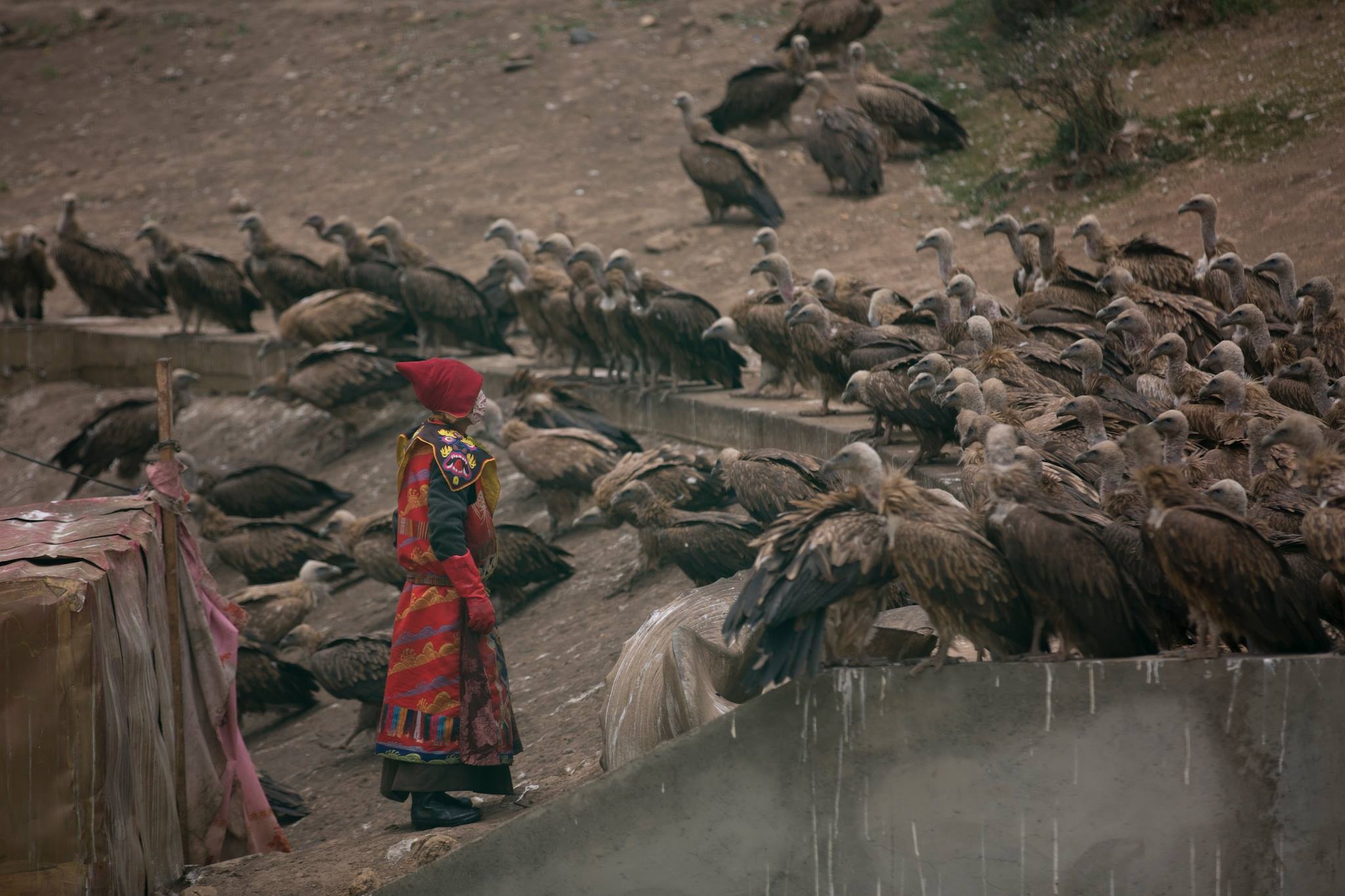 Bui duong tuoi tre anh 4