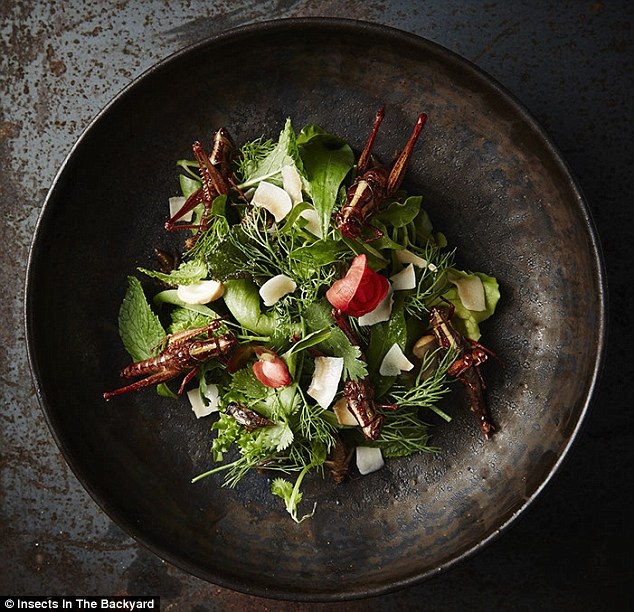 nha hang con trung anh 13