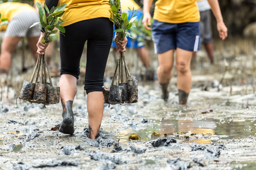 kieu du lich trai nghiem anh 11