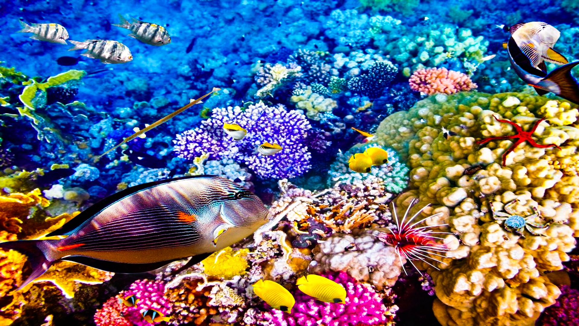 10 diem den du lich hap dan cho mua thu 2017 anh 3