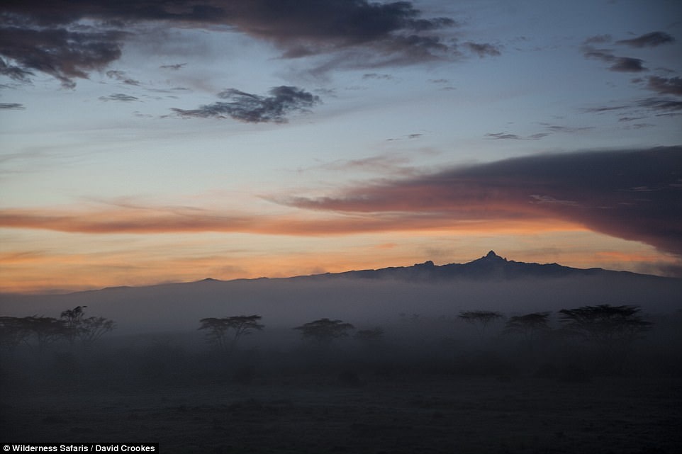 Phong khach san 'to chim' 5 sao anh 6