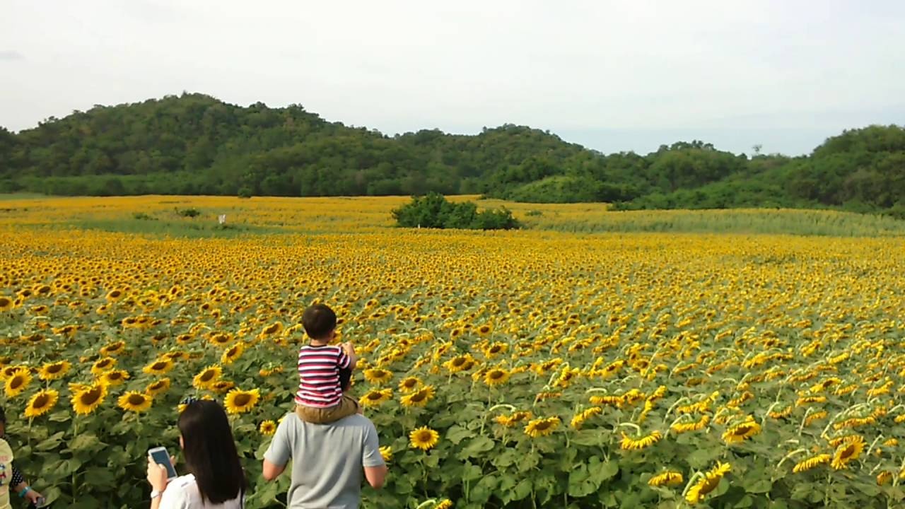 du lich Thai Lan anh 12