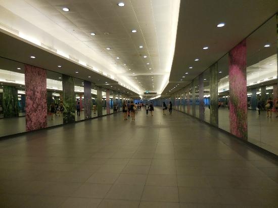 thế giới ngầm ở Singapore ảnh 1 the gioi ngam o Singapore anh 1