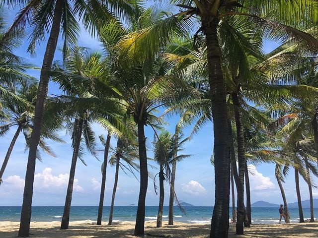 dia diem du lich Da Nang va Hoi An anh 16