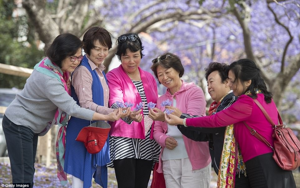 Du khach do xo xuong duong chup anh phuong tim o Australia hinh anh