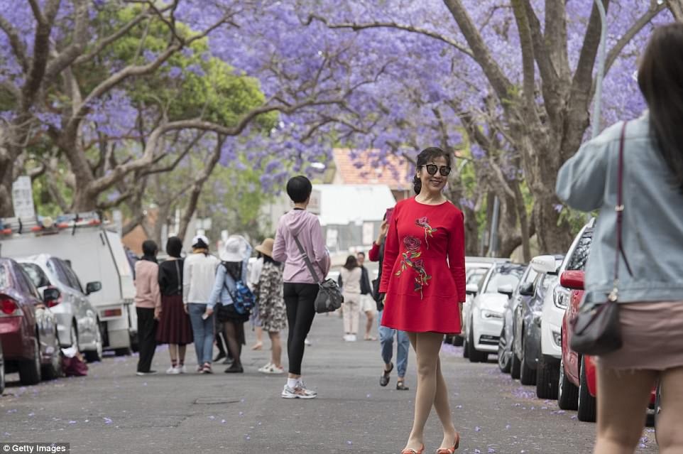 phuong tim o Australia anh 6