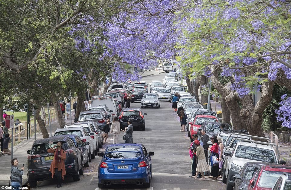 phuong tim o Australia anh 8