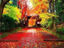 Nhung dieu cam ki can nho khi du lich Nhat Ban hinh anh