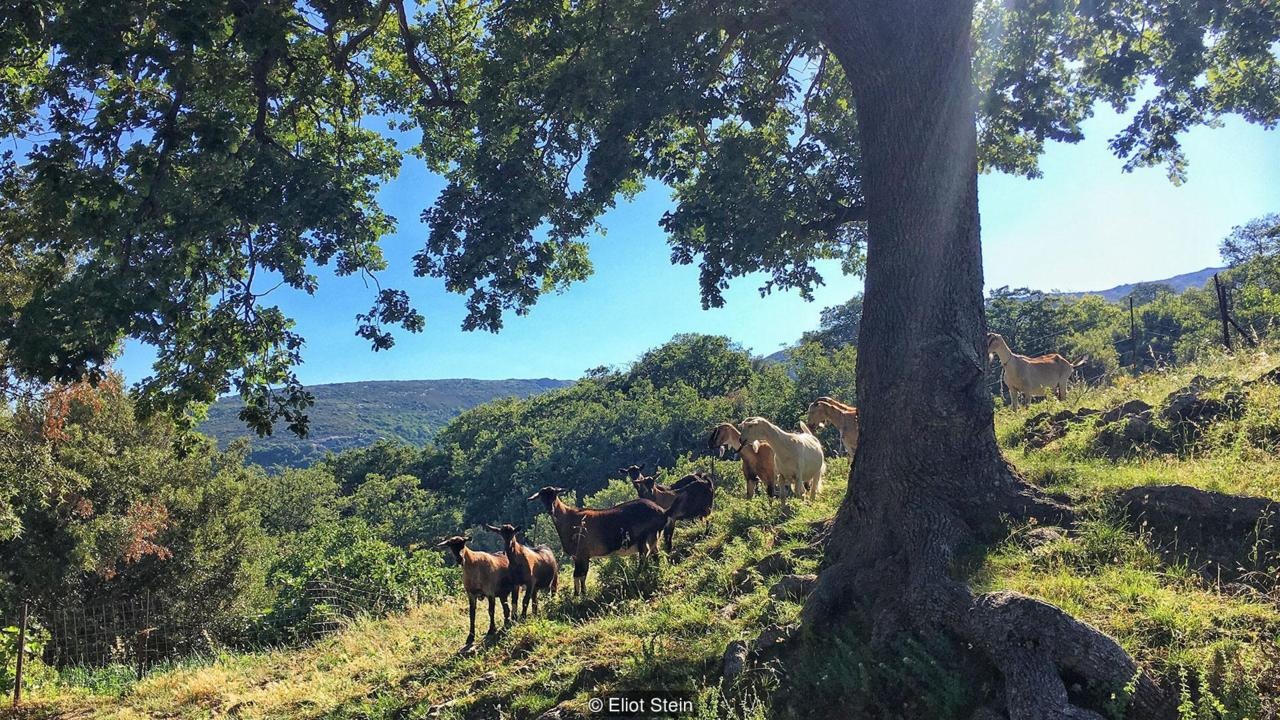 Ngoi lang dung tieng huyt sao bi an de giao tiep hinh anh