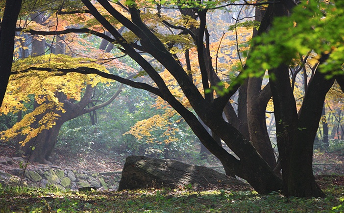 dia diem mua thu ruc ro o Han Quoc anh 3