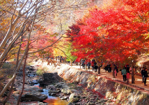 dia diem mua thu ruc ro o Han Quoc anh 4