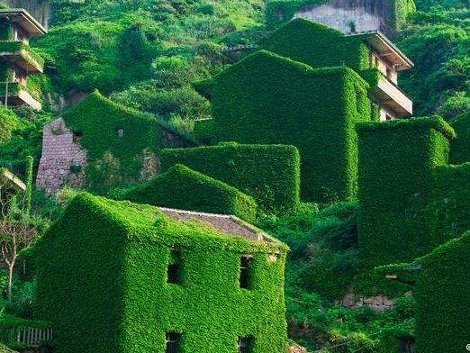 Ngoi lang bao phu hoan toan boi cay coi o Trung Quoc hinh anh