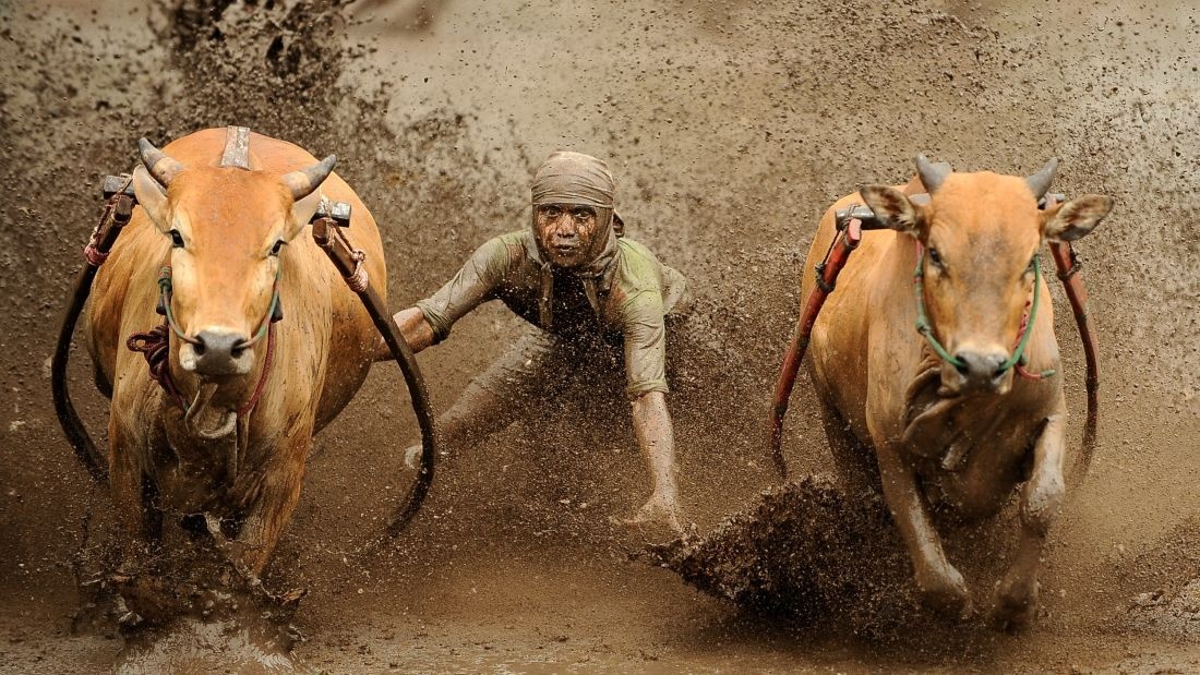 Nhung le hoi mua thu hoach noi tieng tren the gioi hinh anh