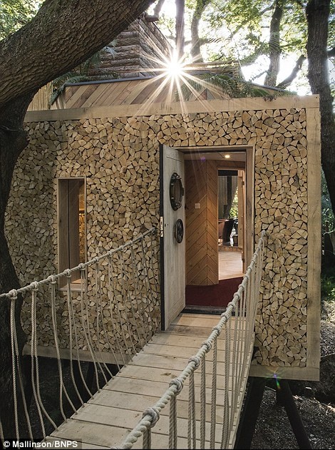 Ngoi nha tren cay sang trong o Anh anh 14