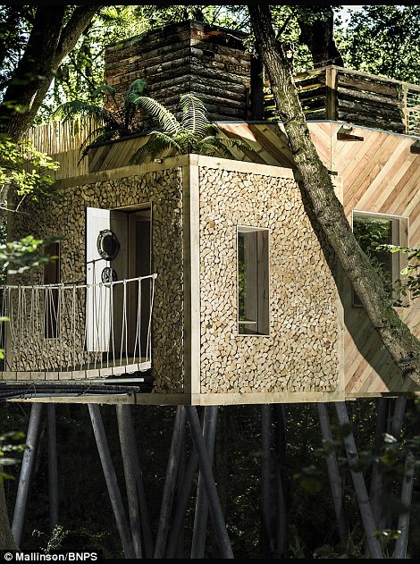 Ngoi nha tren cay sang trong o Anh anh 15