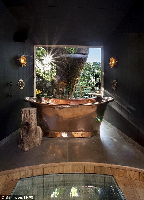 Ngoi nha tren cay sang trong o Anh anh 7