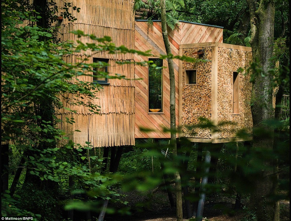 Ngoi nha tren cay sang trong o Anh anh 8