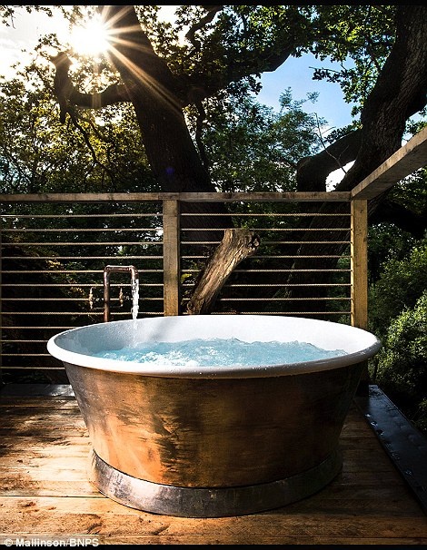 Ngoi nha tren cay sang trong o Anh anh 9