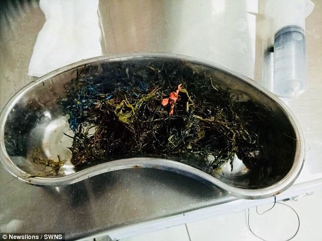 Cau be thich an nhua, go suot nhieu nam hinh anh