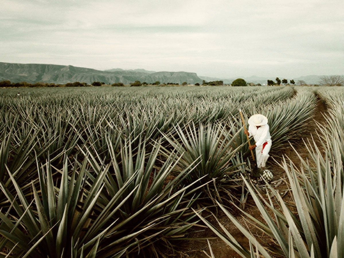 Nhung dich vu khach san xa xi va dac biet anh 8