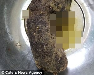 nghiện ăn tóc ảnh 1 nghien an toc anh 1