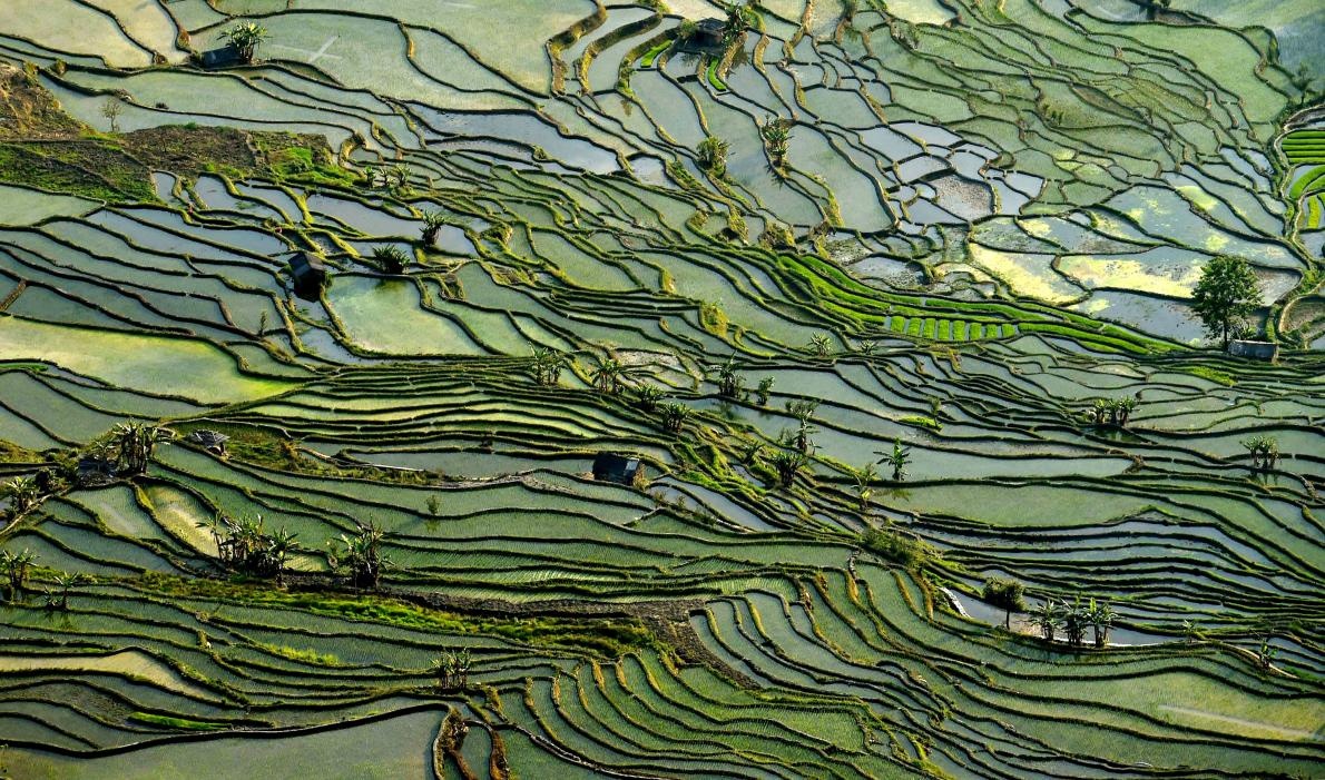 nhung di san the gioi noi bat cua Trung Quoc anh 5