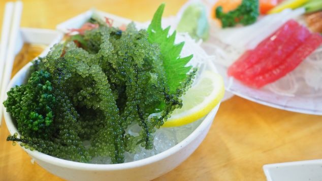 Am thuc doc dao cua Okinawa, Nhat Ban hinh anh