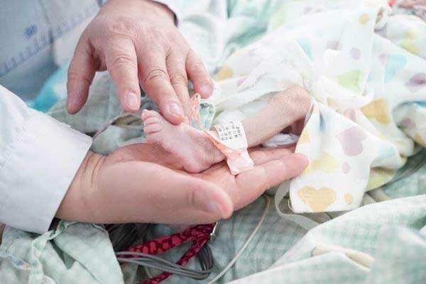 Be trai chao doi voi tim be bang trung chim bo cau hinh anh