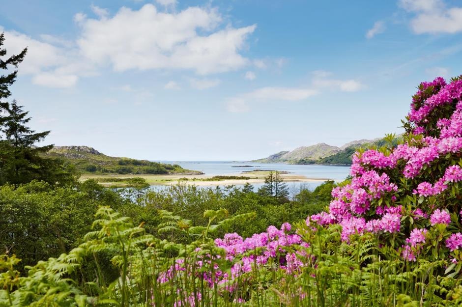 Dia diem trong cac cau chuyen co o ngoai doi thuc anh 4