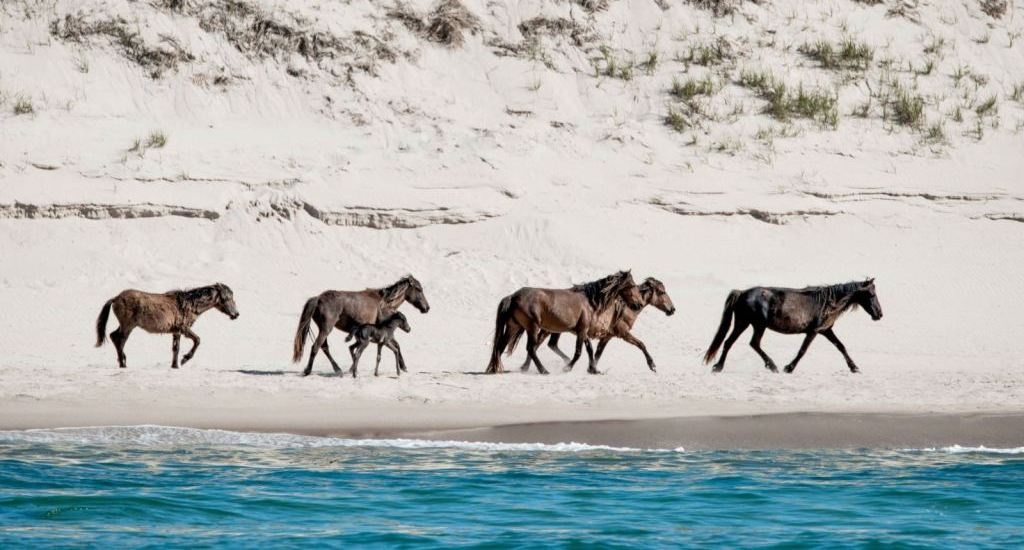 Nhung hon dao ly tuong cho ky nghi yen tinh anh 11