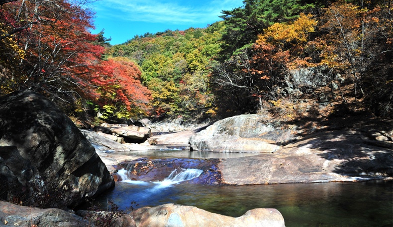 Ve dep cua que huong HLV Park Hang Seo hinh anh