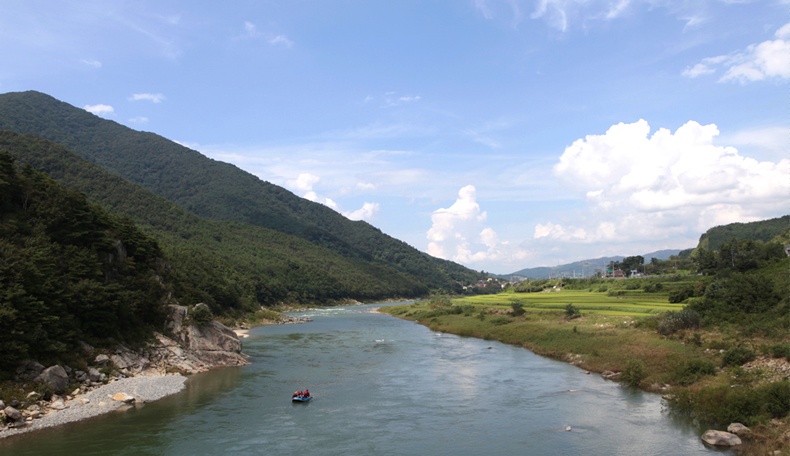 que huong ong Park Hang Seo anh 9