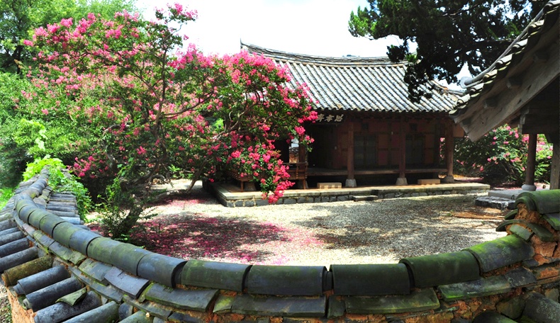 que huong ong Park Hang Seo anh 10