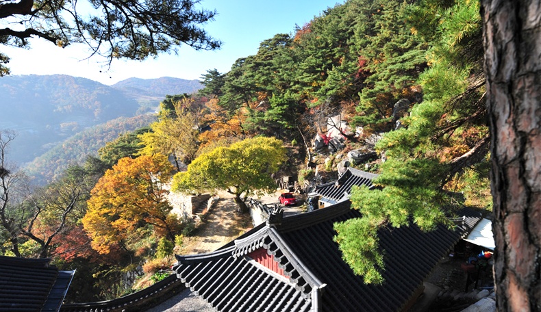 que huong ong Park Hang Seo anh 12