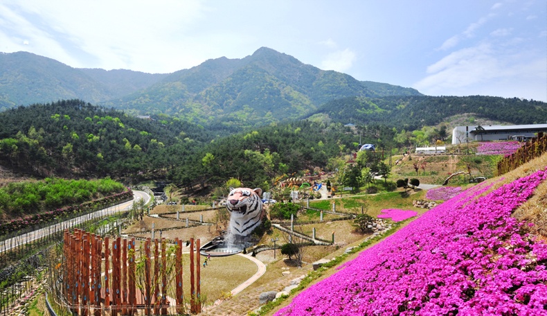 que huong ong Park Hang Seo anh 13