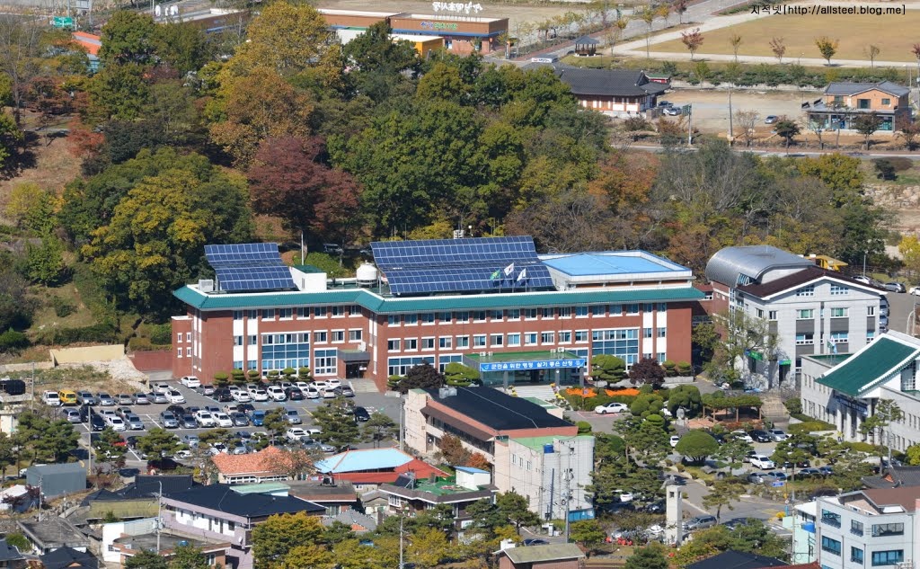 que huong ong Park Hang Seo anh 1