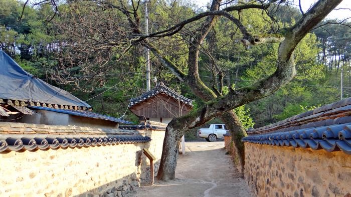 que huong ong Park Hang Seo anh 11