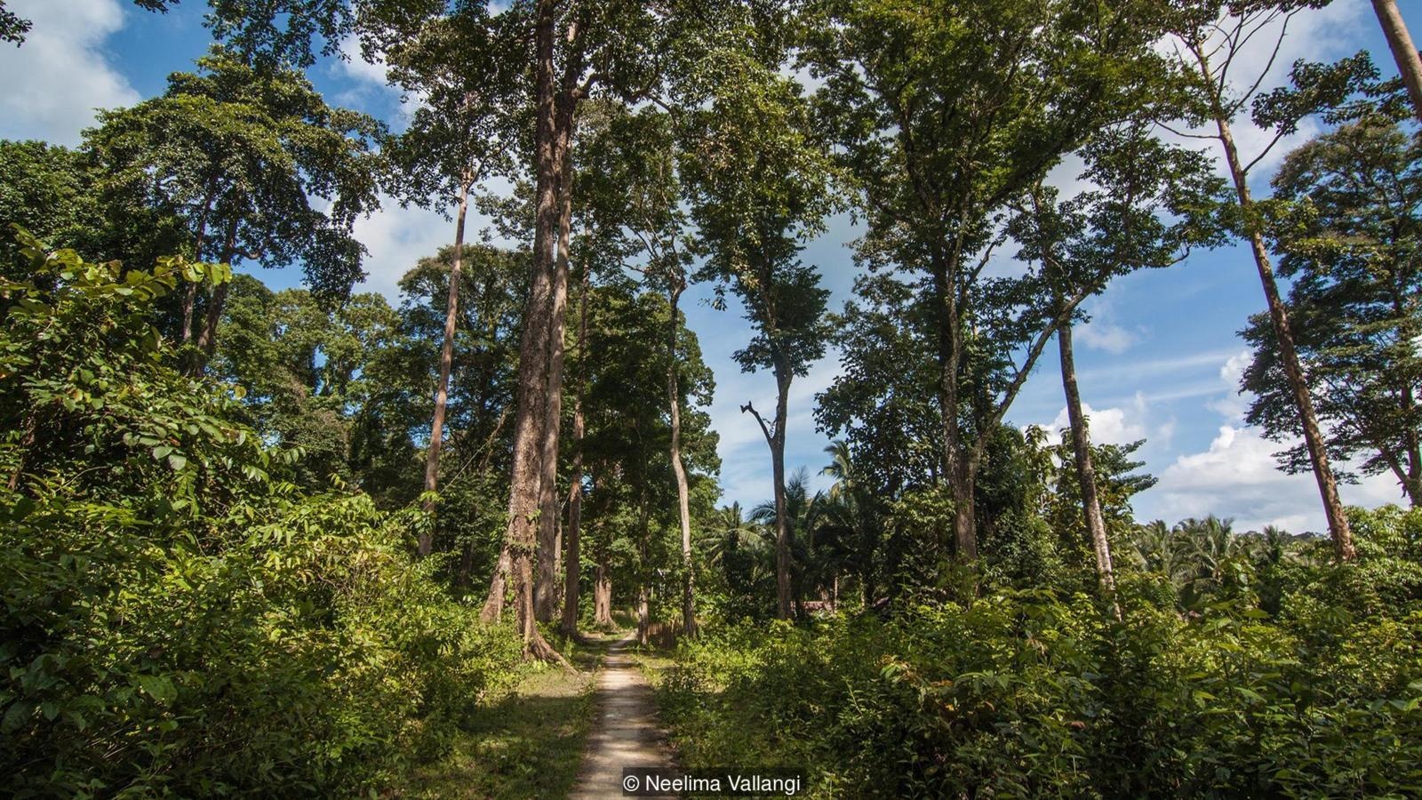 Hon dao 'ma' giua long An Do Duong anh 3