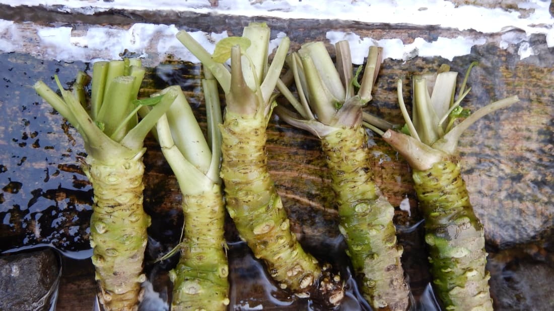 8 dia diem ly tuong de kham pha am thuc Nhat Ban anh 3