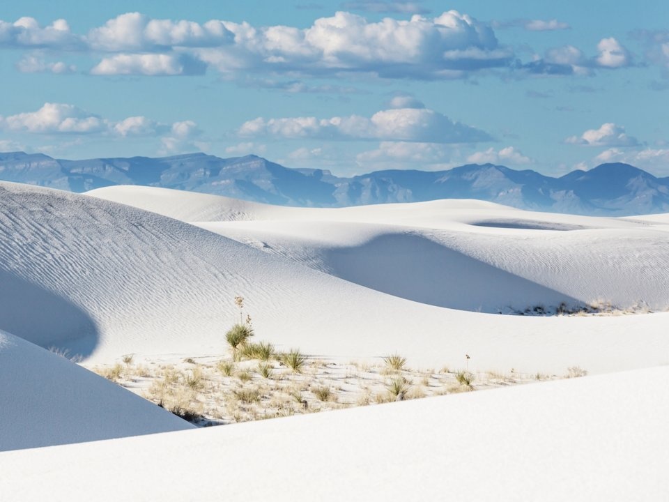 Me man voi nhung canh quan sa mac tuyet dep tren the gioi hinh anh