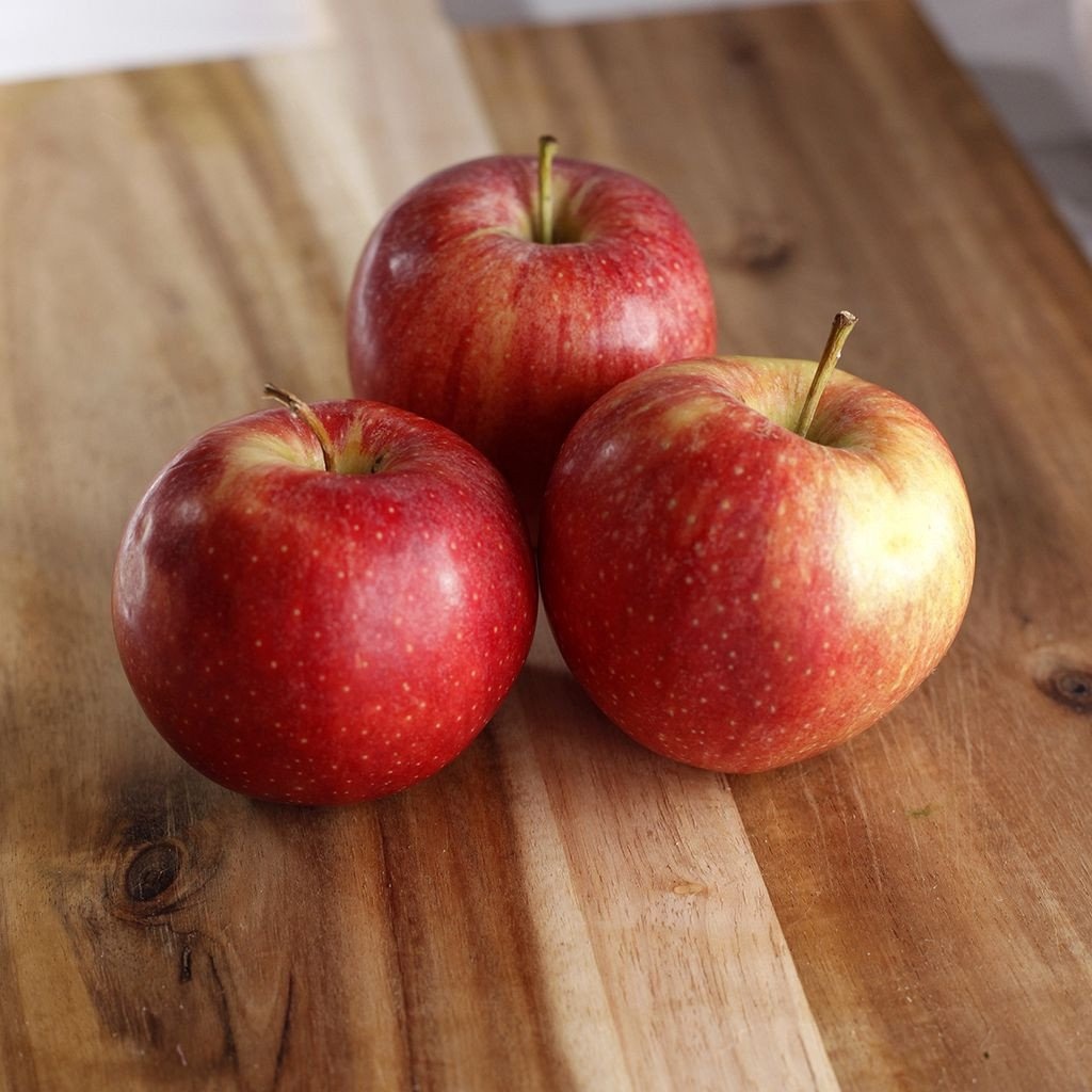 an vat world cup anh 4