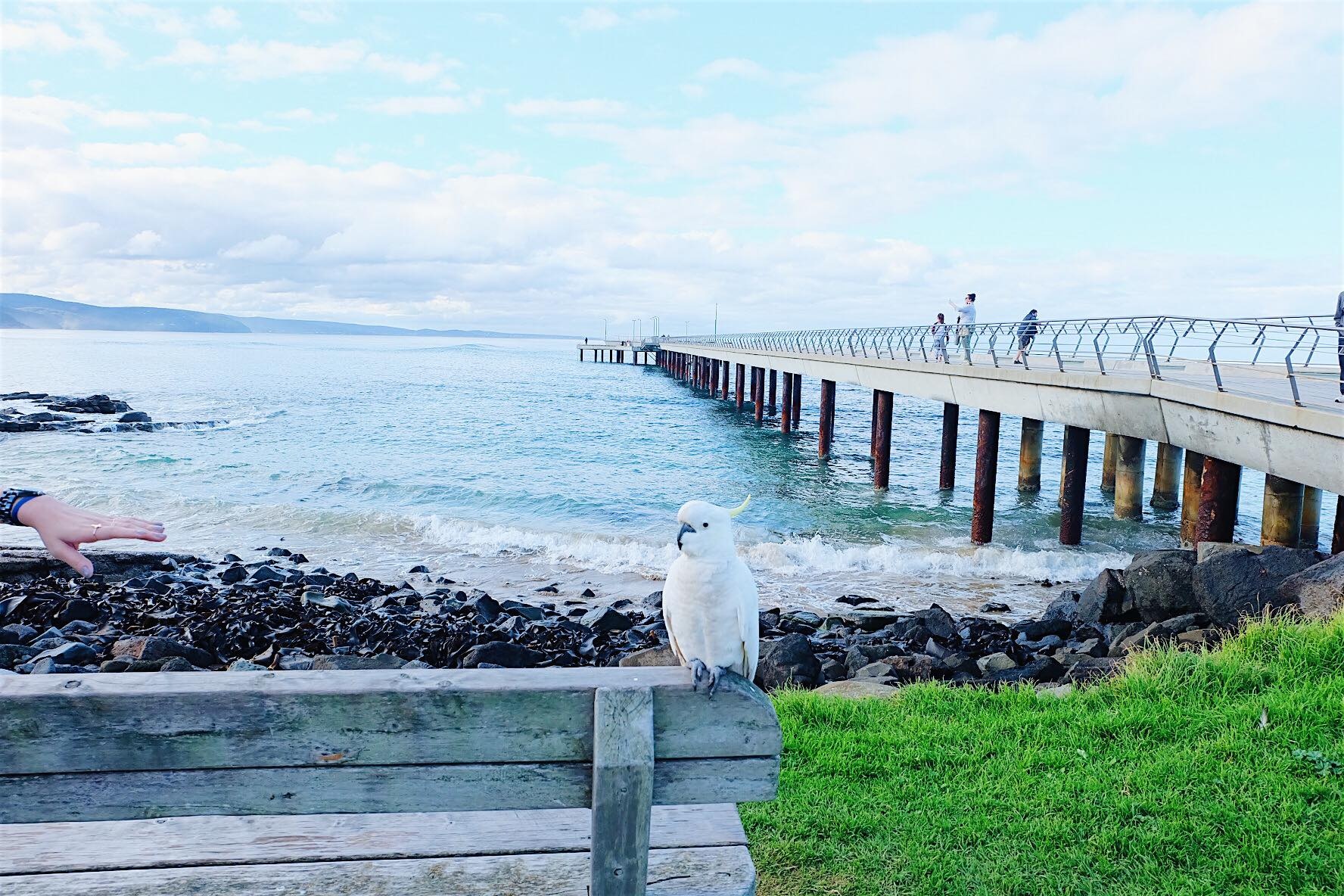 milan pham du lich anh 16