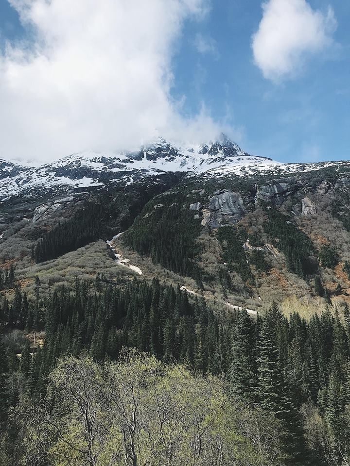 do my linh du lich anh 14