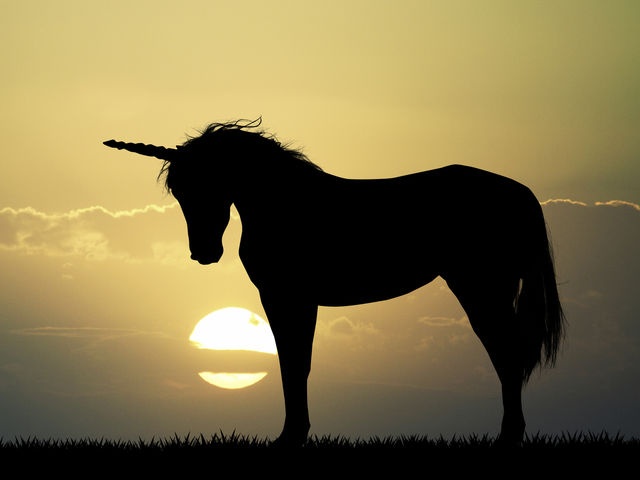 Dong vat bieu tuong cua cac nuoc tren the gioi anh 3