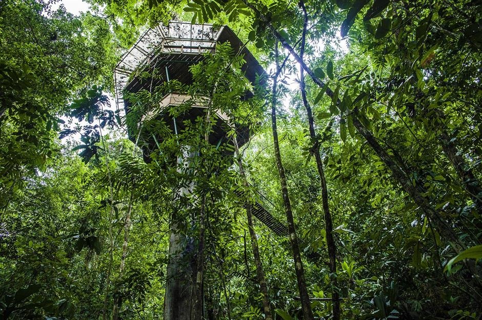 Nhung &lsquo;phong ngu&rsquo; ky la nhat ma ban co the qua dem anh 7