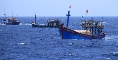Hai ngay nua tau ca bi Trung Quoc dam chim ve toi Da Nang hinh anh