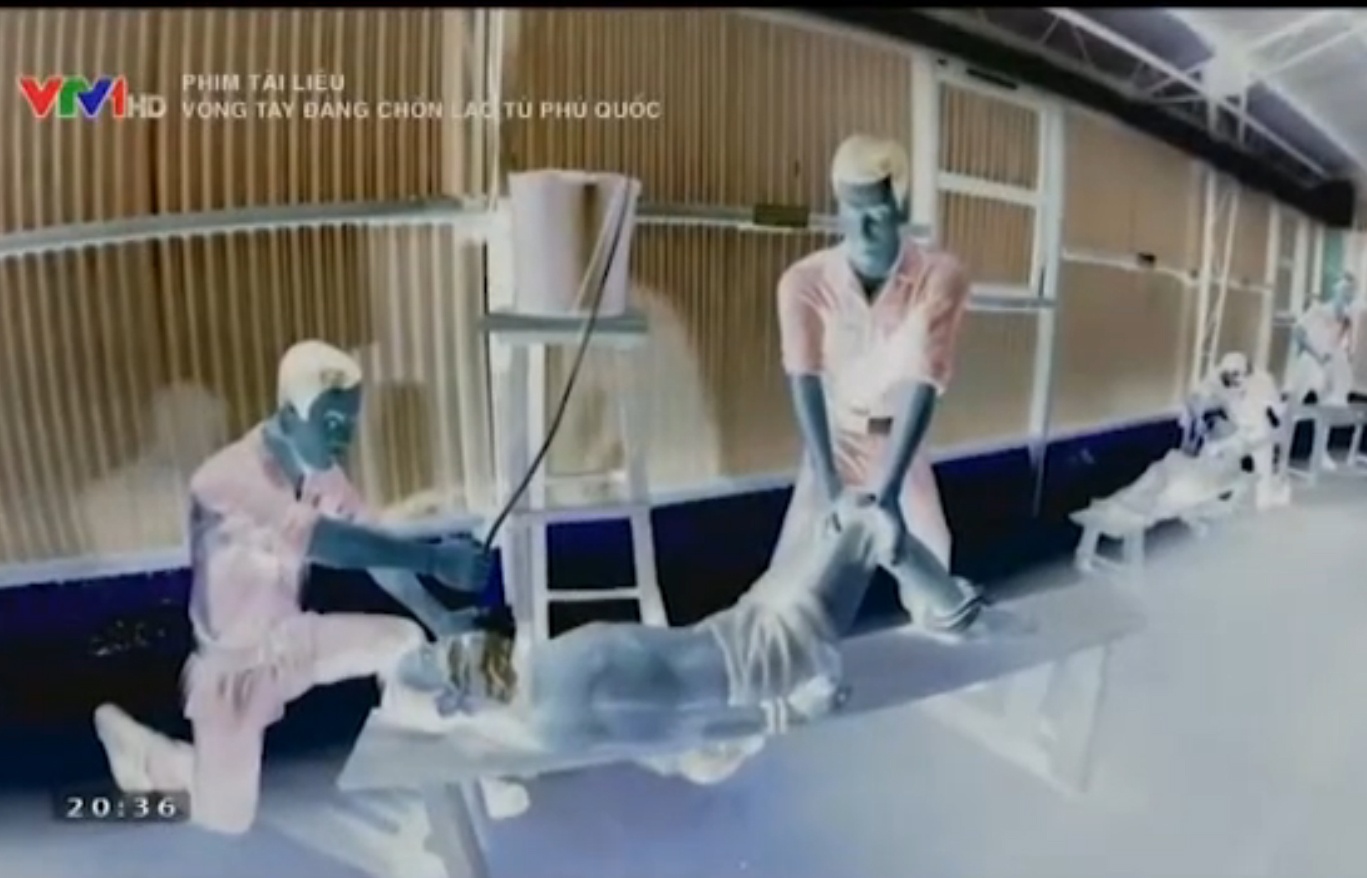 Trai giam Phu Quoc - dia nguc tran gian thoi My Nguy (P6) hinh anh