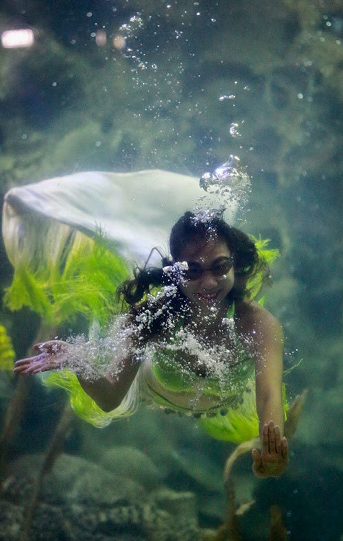  “Tiêu chuẩn để đóng vai nàng tiên cá phải là người bơi giỏi, có nhan sắc và quan trọng hơn phải đam mê” - Lê Thị Na, nàng tiên cá đã gắn bó hai năm ở thủy cung Vinpearl, chia sẻ.